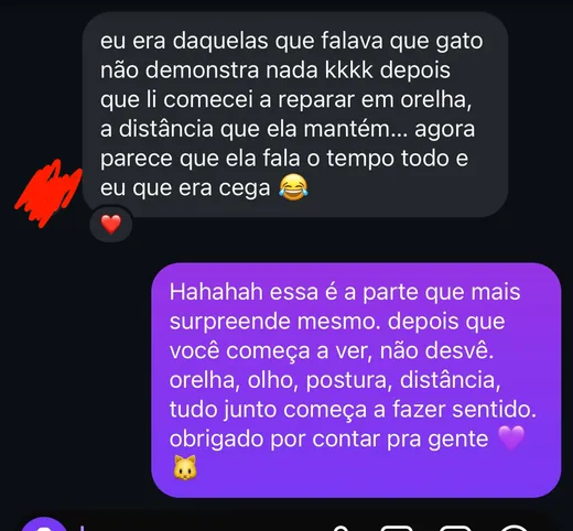 Mensagem de cliente: eu era daquelas que falava que gato não demonstra nada, depois que li comecei a reparar em orelha, distância, e agora parece que ela fala o tempo todo