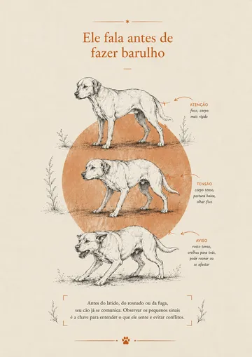 Página do guia mostrando os sinais de atenção, tensão e aviso que o cão dá antes de latir ou rosnar